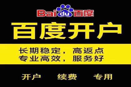 成功案例揭秘：百度包年竞价如何助力企业增长